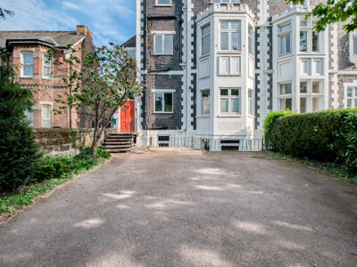 Picture 51